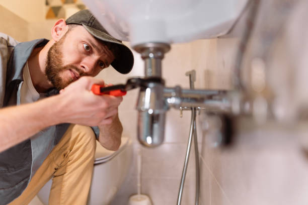 Best Toilet Repair Services  in Pierson, FL