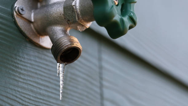 Best 24-Hour Plumber Near Me  in Pierson, FL